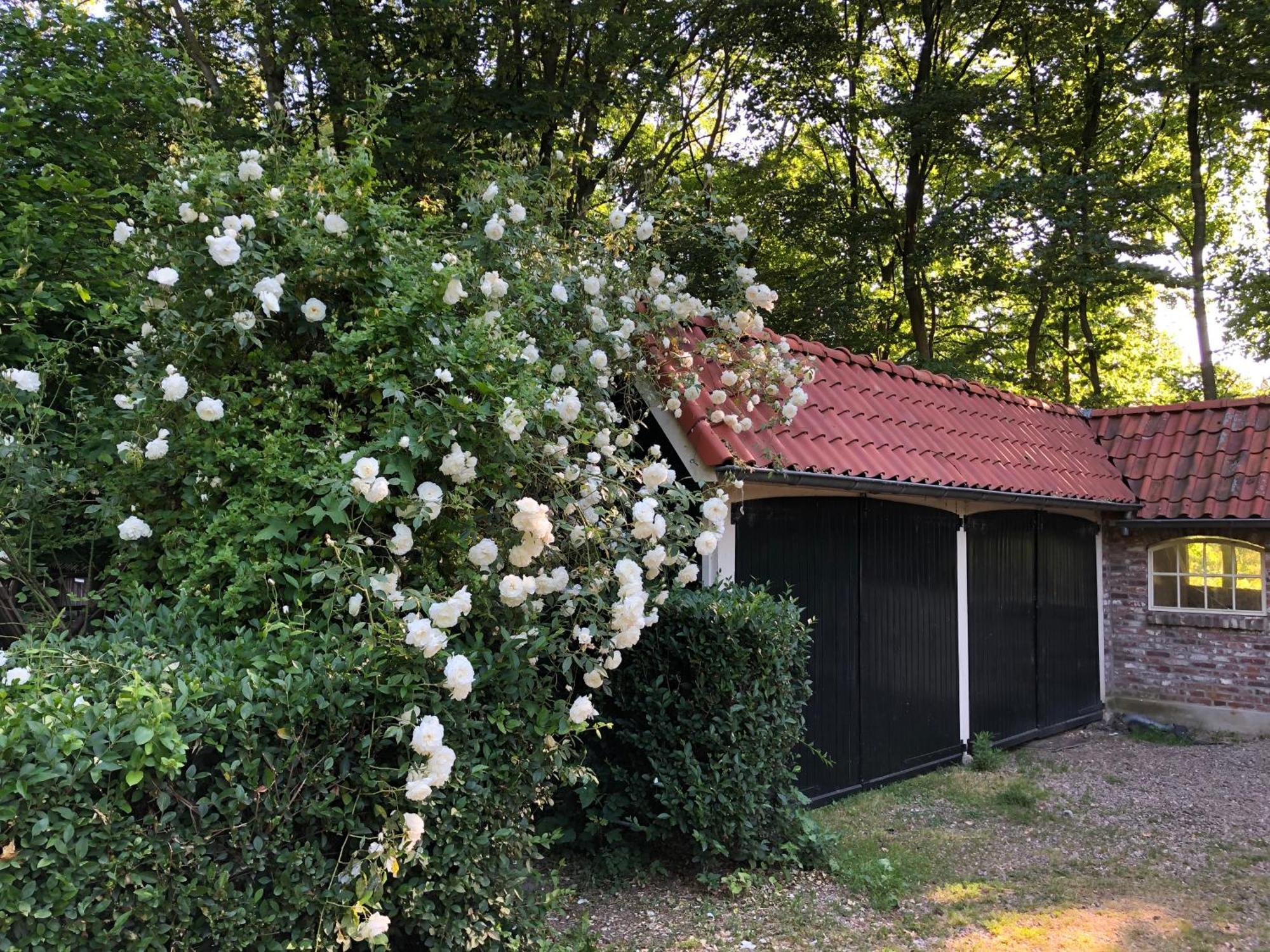 Hotel De Zeilende Kraay Katwijk Exteriér fotografie